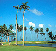 Hyatt Dorado Beach Resort and Country Club