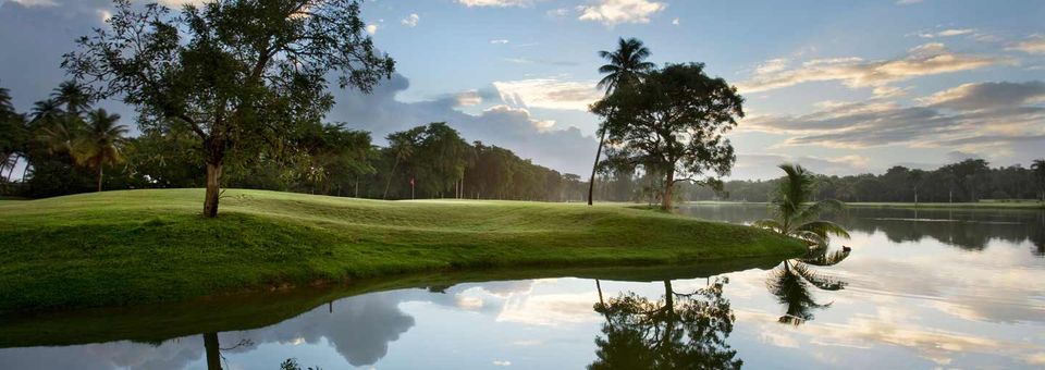 Plantation Club - Pineapple