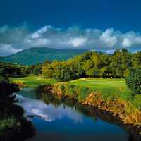Rio Mar Beach Resort & Spa - River Course's 7th hole