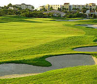 Links at Divi Aruba