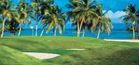 Puntacana - La Cana Course