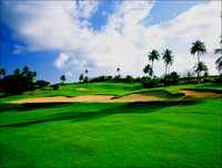 Palmas del Mar Country Club - The Palm Course
