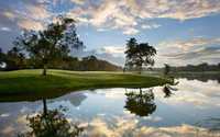 Plantation Club - Pineapple