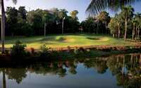 Plantation Club - Sugar Cane