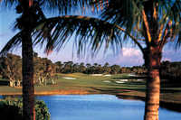 Reef Course