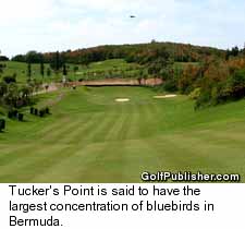 Bermuda - Tucker's Point