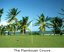 The Flamboyan Course