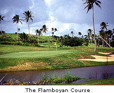 The Flamboyan Course