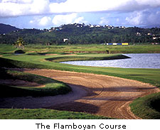 The Flamboyan Course