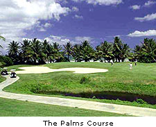 The Palms Course
