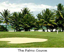 The Palms Course