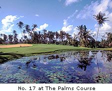 No. 17 at The Palms Course