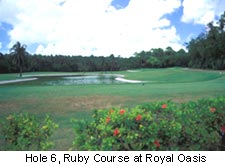 Hole 6, Ruby Course at Royal Oasis
