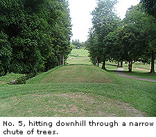 St. Lucia Sandals Course