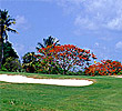 Treasure Cay