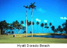 Hyatt Dorado Beach