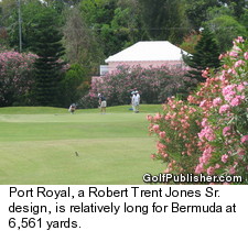 Port Royal - Bermuda