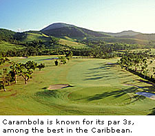 Carambola