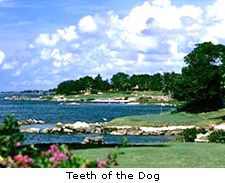 Teeth of the Dog