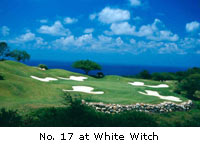 White Whitch