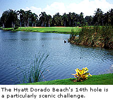 The Hyatt Dorado