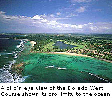 The Bird's Eye View